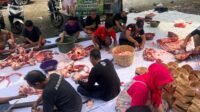 Tebar Kepedulian di Hari Raya Kurban, Anisah Syakur Distribusikan Sapi dan Kambing ke Pasuruan-Probolinggo